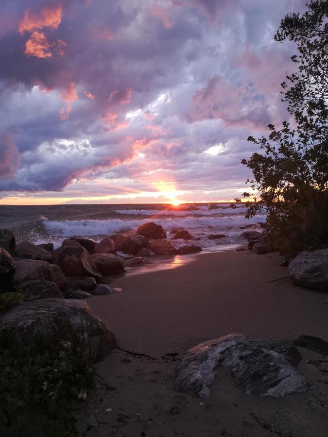 香树脂海滩度假村汽车旅馆 Balm Beach 外观 照片