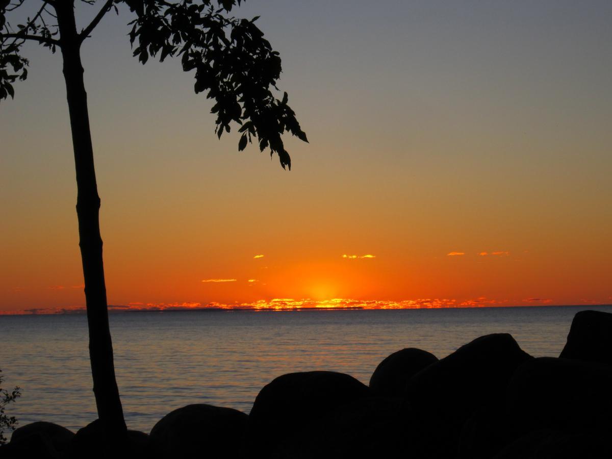 香树脂海滩度假村汽车旅馆 Balm Beach 外观 照片